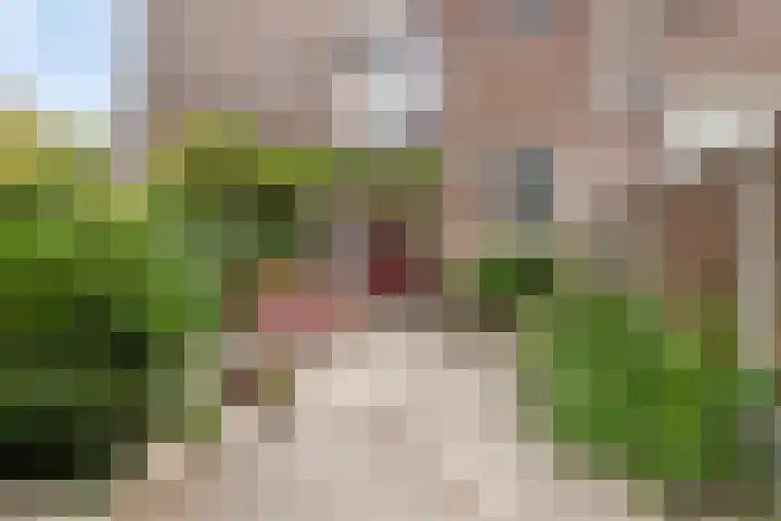 Jan Steenstraat 17 Vlaardingen thumbnail 16