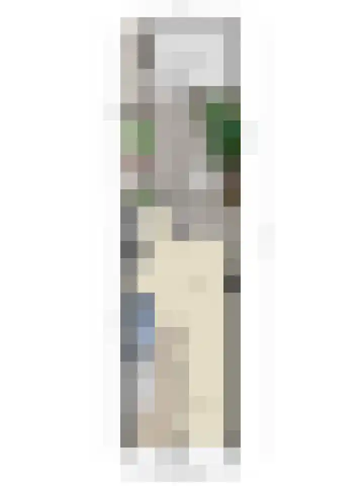 Jan Steenstraat 17 Vlaardingen thumbnail 45