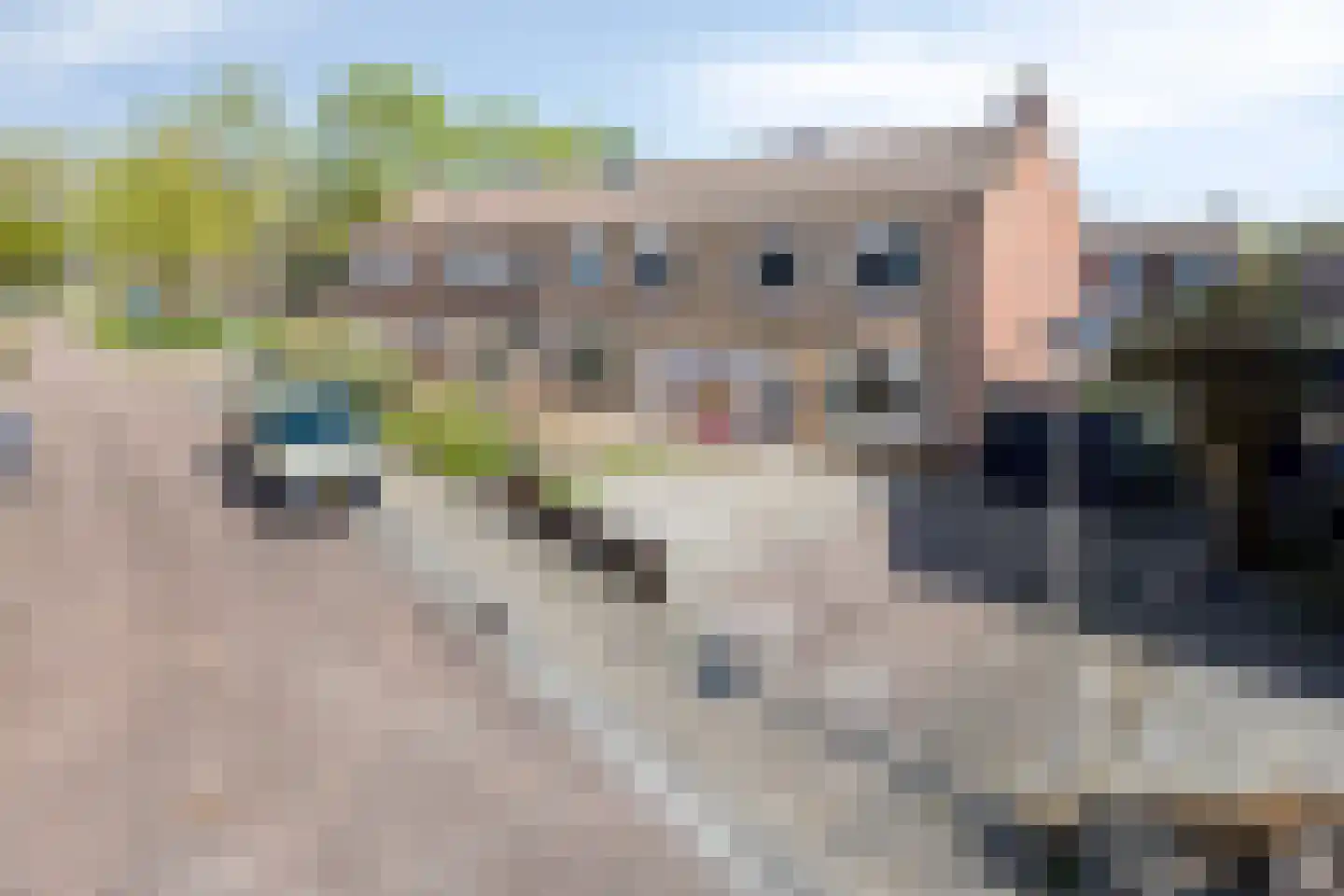 Jan Steenstraat 18 Coevorden thumbnail 4