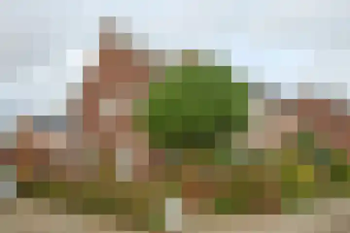 Jan Steenstraat 18 Geleen thumbnail 5
