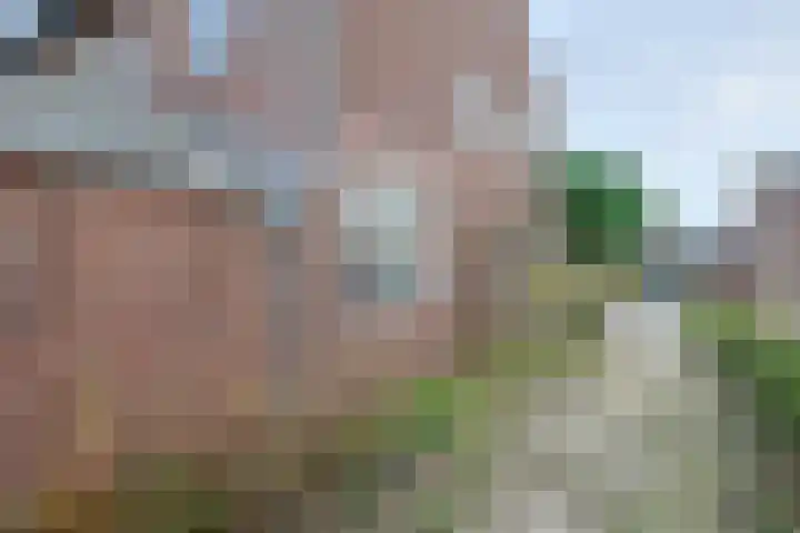 Jan Steenstraat 18 Geleen thumbnail 7