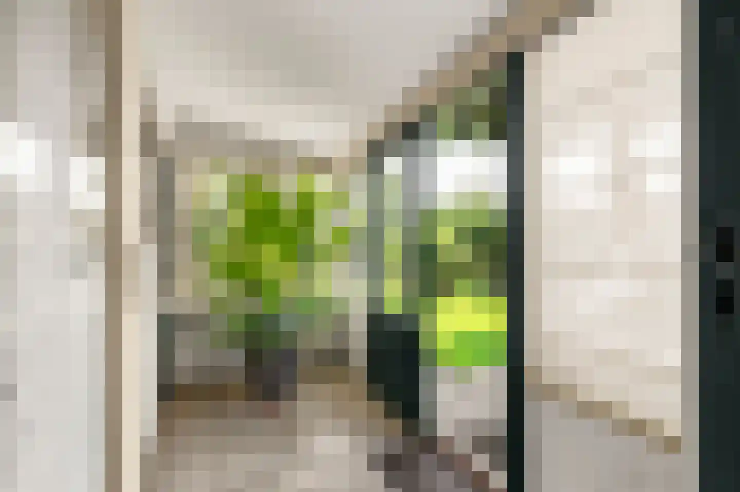 Jan Steenstraat 18 Hazerswoude-Dorp thumbnail 19