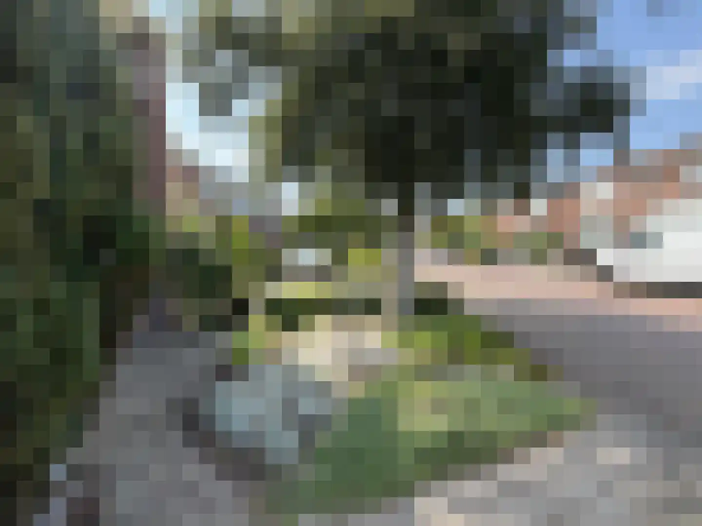 Jan Steenstraat 18 Hazerswoude-Dorp thumbnail 7
