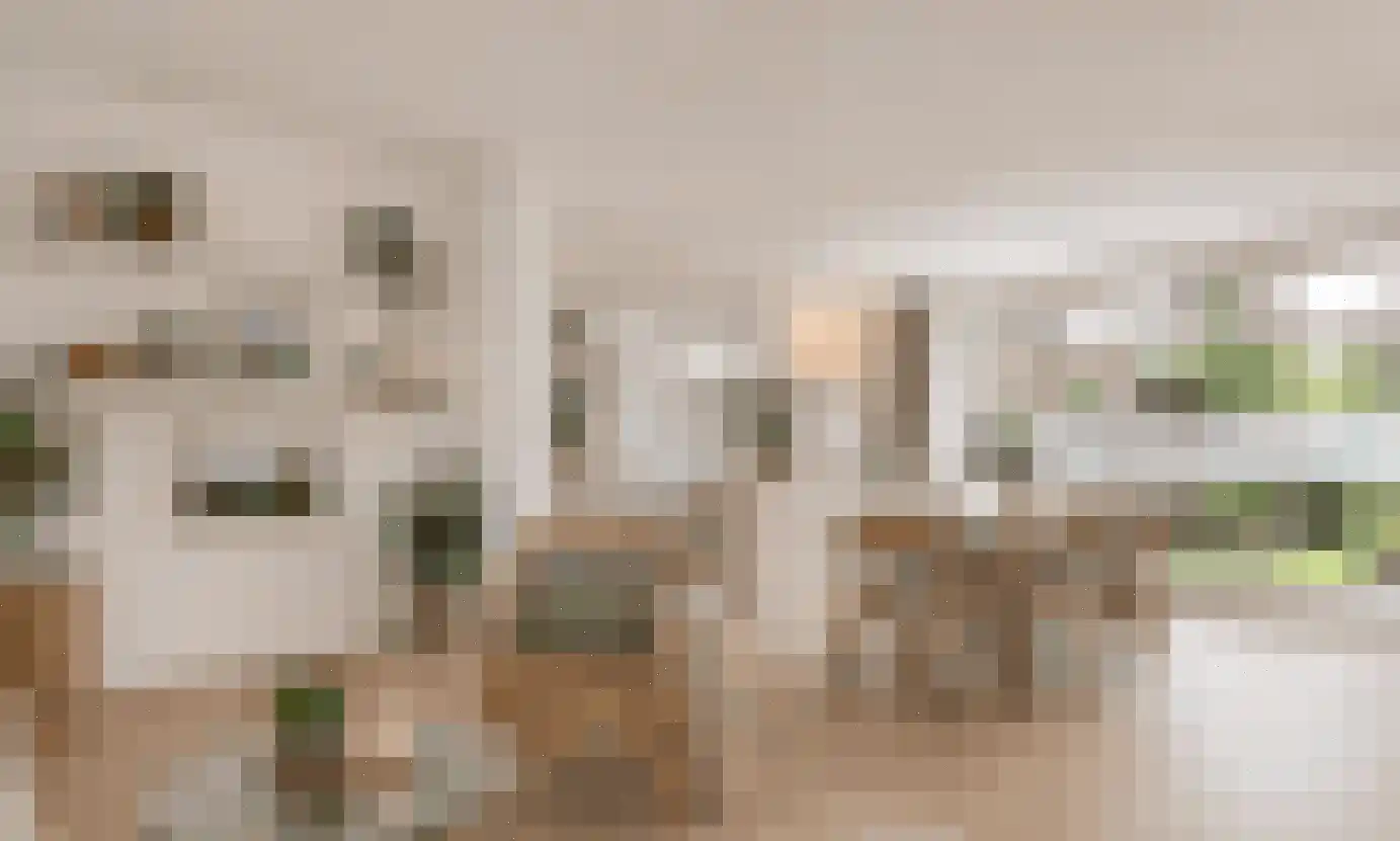 Jan Steenstraat 18 Hazerswoude-Dorp thumbnail 9