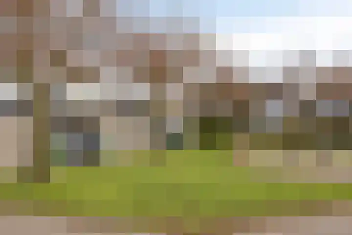 Jan Steenstraat 18 Meppel thumbnail 36