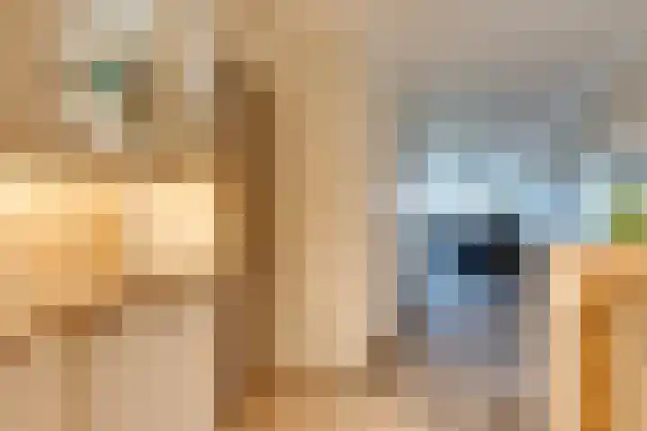 Jan Steenstraat 18 Volendam thumbnail 28