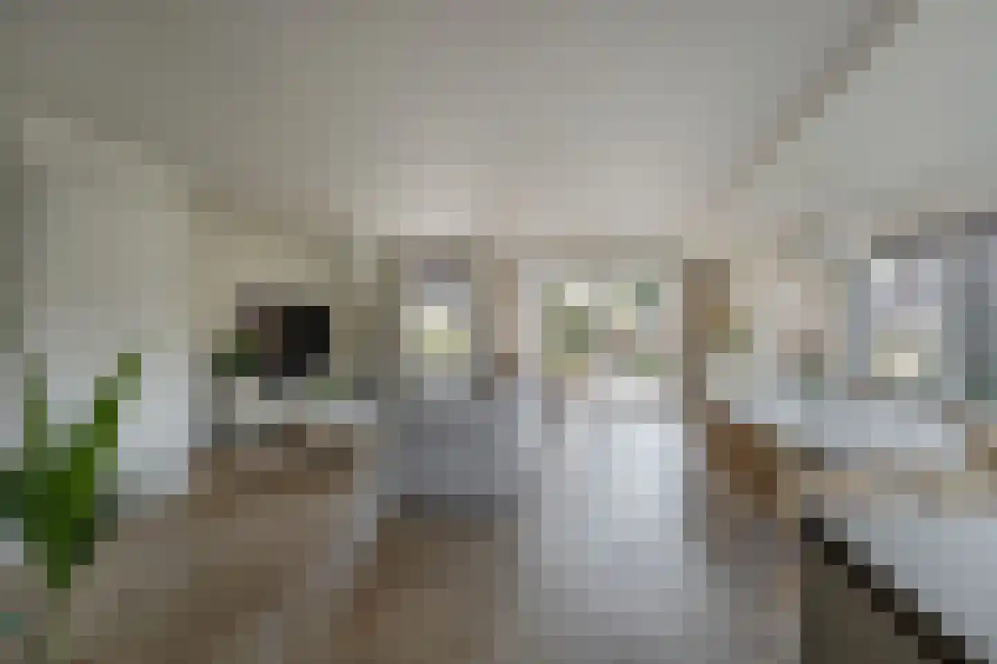 Jan Steenstraat 19 Rijnsburg thumbnail 12