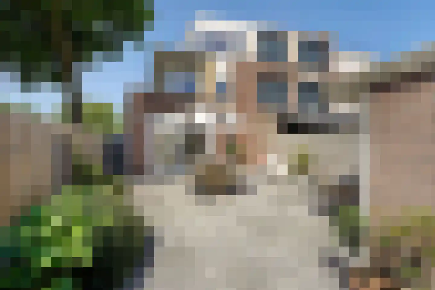 Jan Steenstraat 19 Rijnsburg thumbnail 19