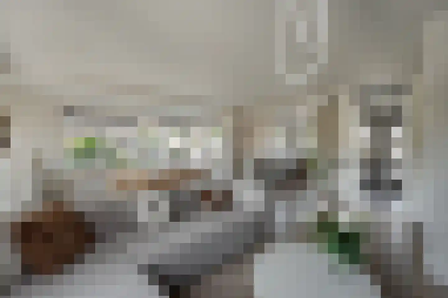 Jan Steenstraat 19 Rijnsburg thumbnail 4