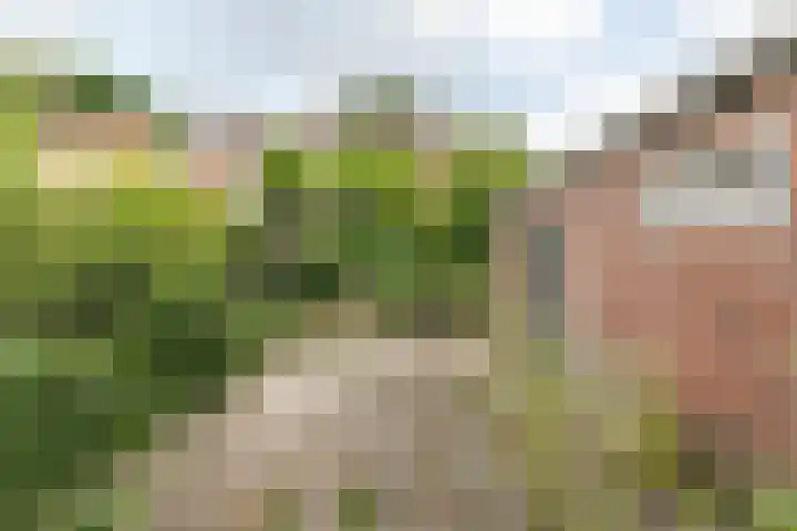 Jan Steenstraat 2 Brunssum thumbnail 18