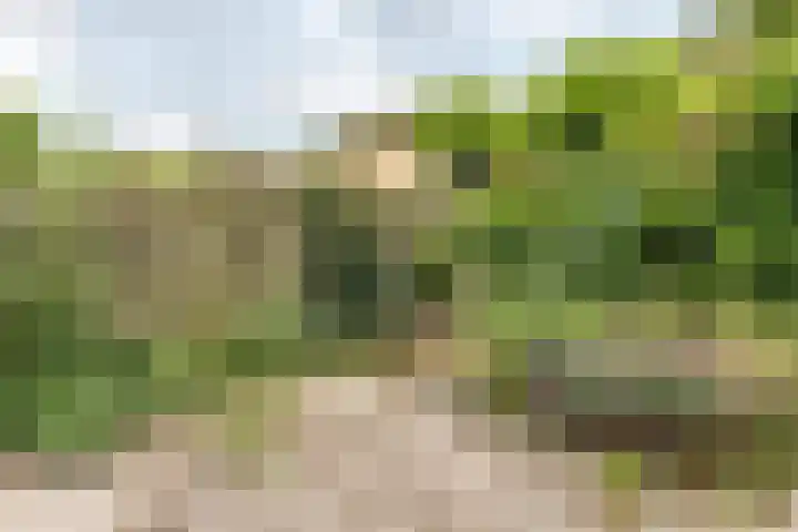 Jan Steenstraat 2 Brunssum thumbnail 19