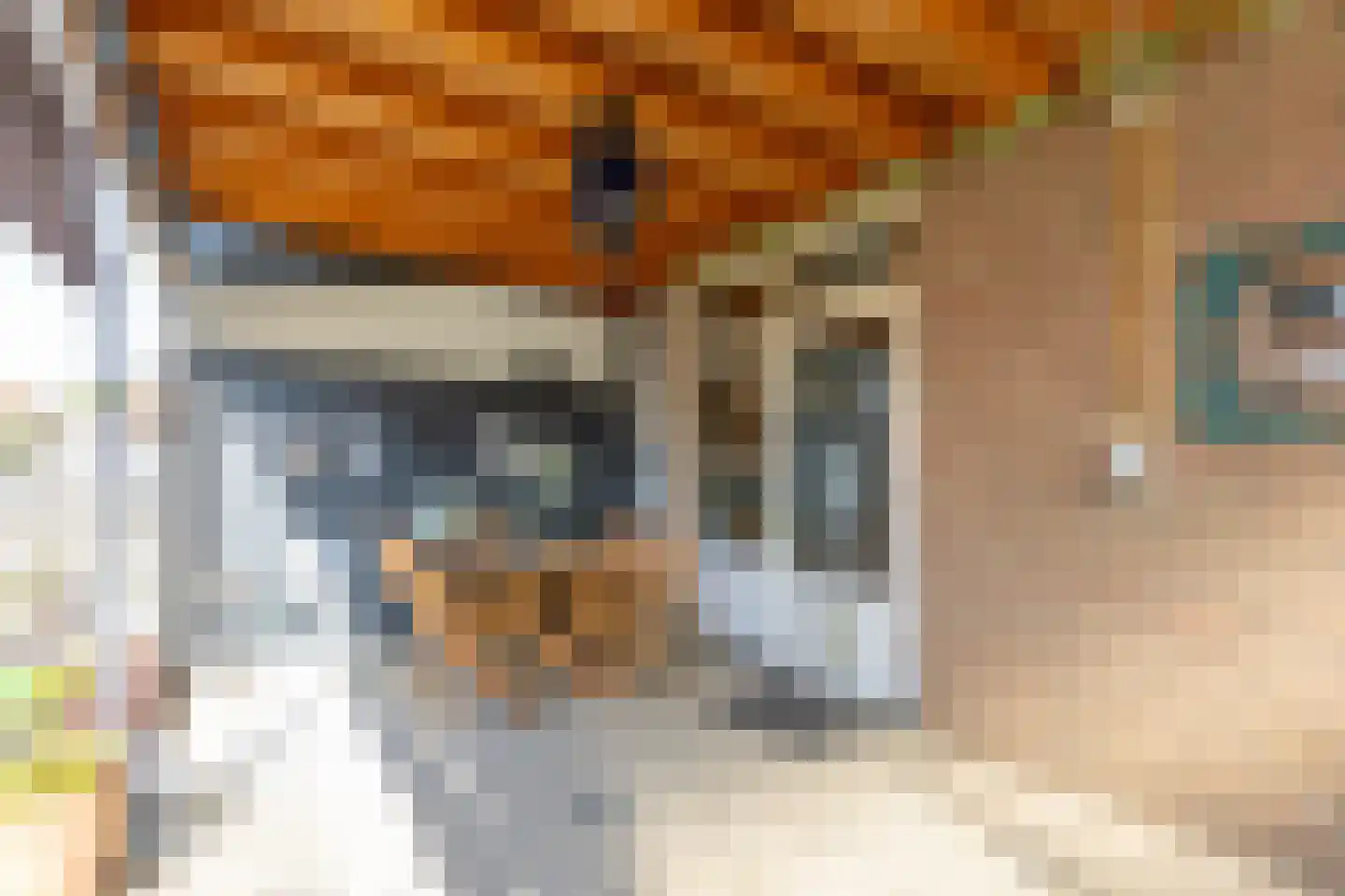 Jan Steenstraat 23 Heerlen thumbnail 20