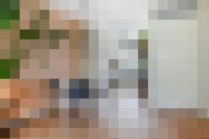 Jan Steenstraat 24 Woerden thumbnail 12