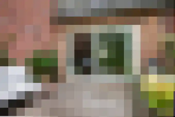 Jan Steenstraat 24 Woerden thumbnail 31