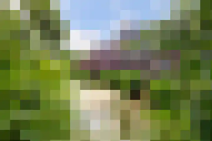 Jan Steenstraat 24 Woerden thumbnail 33