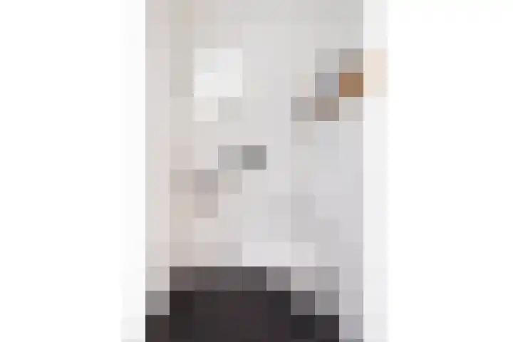 Jan Steenstraat 24 Woerden thumbnail 5