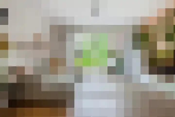Jan Steenstraat 24 Woerden thumbnail 7