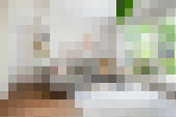 Jan Steenstraat 24 Woerden thumbnail 9