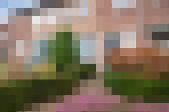 Jan Steenstraat 25 Geleen thumbnail 6