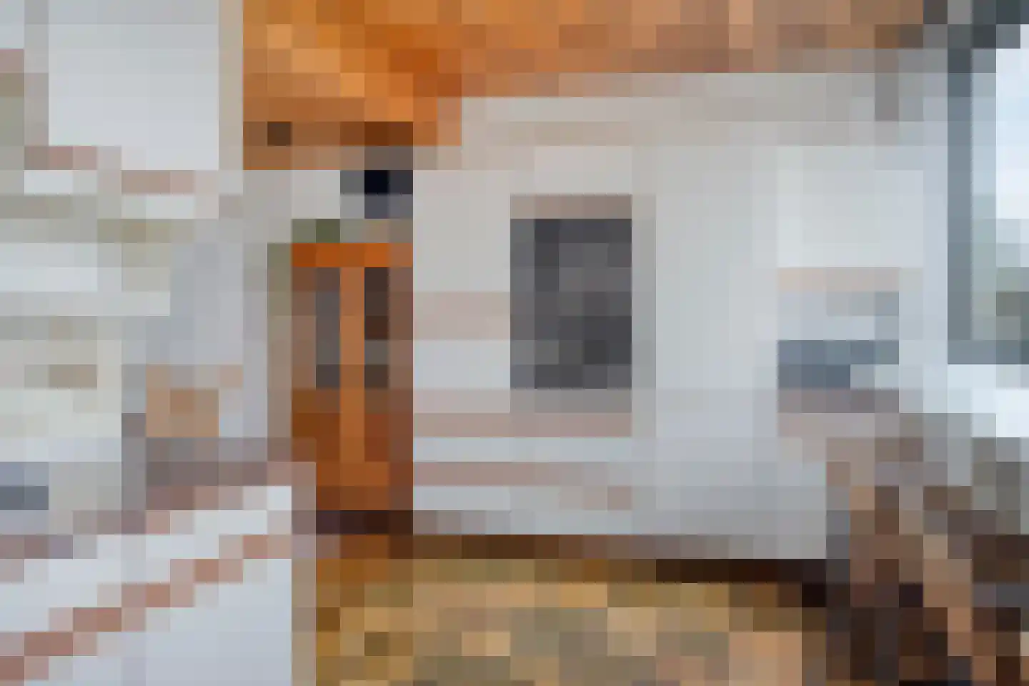 Jan Steenstraat 26 Bleiswijk thumbnail 17