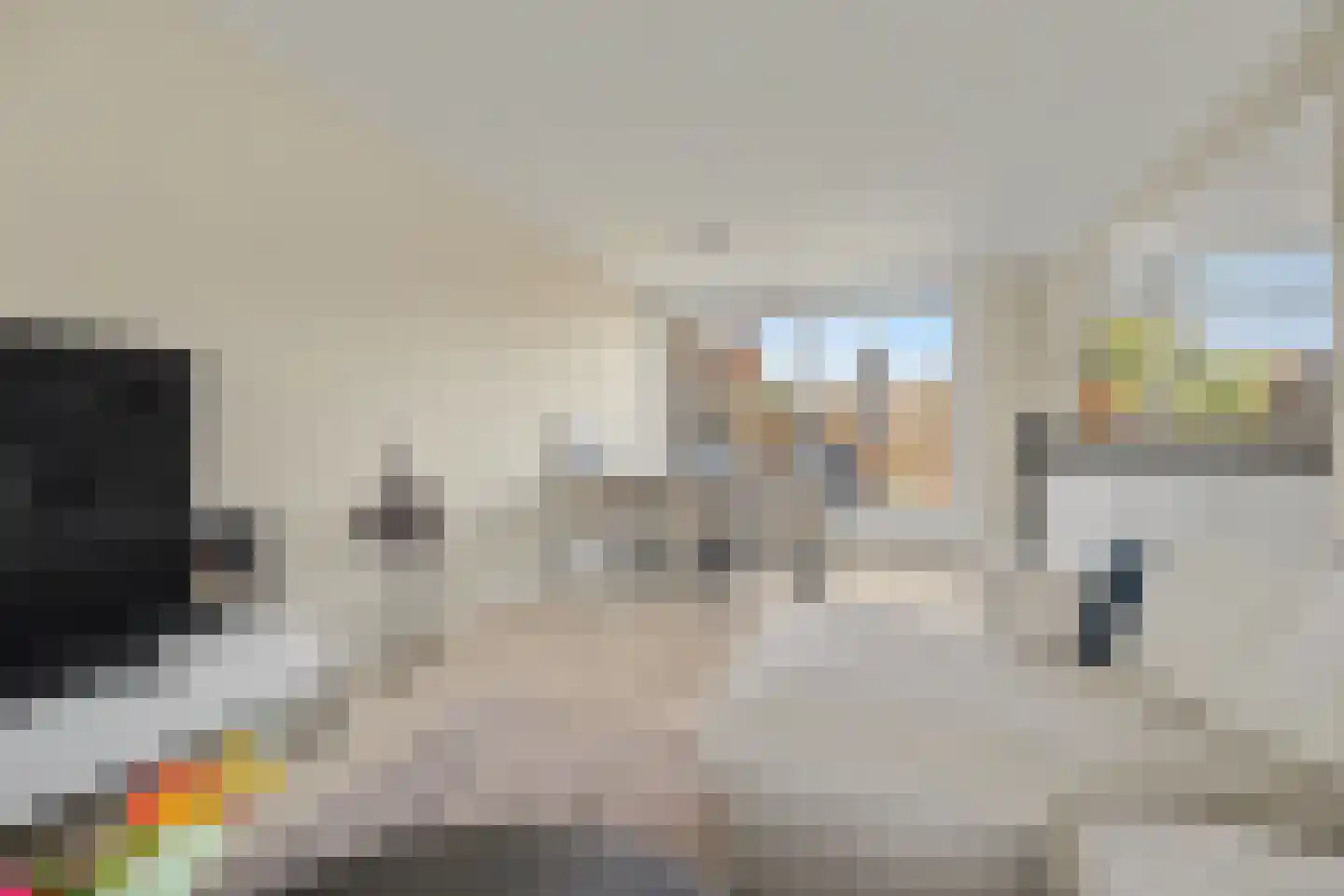 Jan Steenstraat 28 Vlijmen thumbnail 4