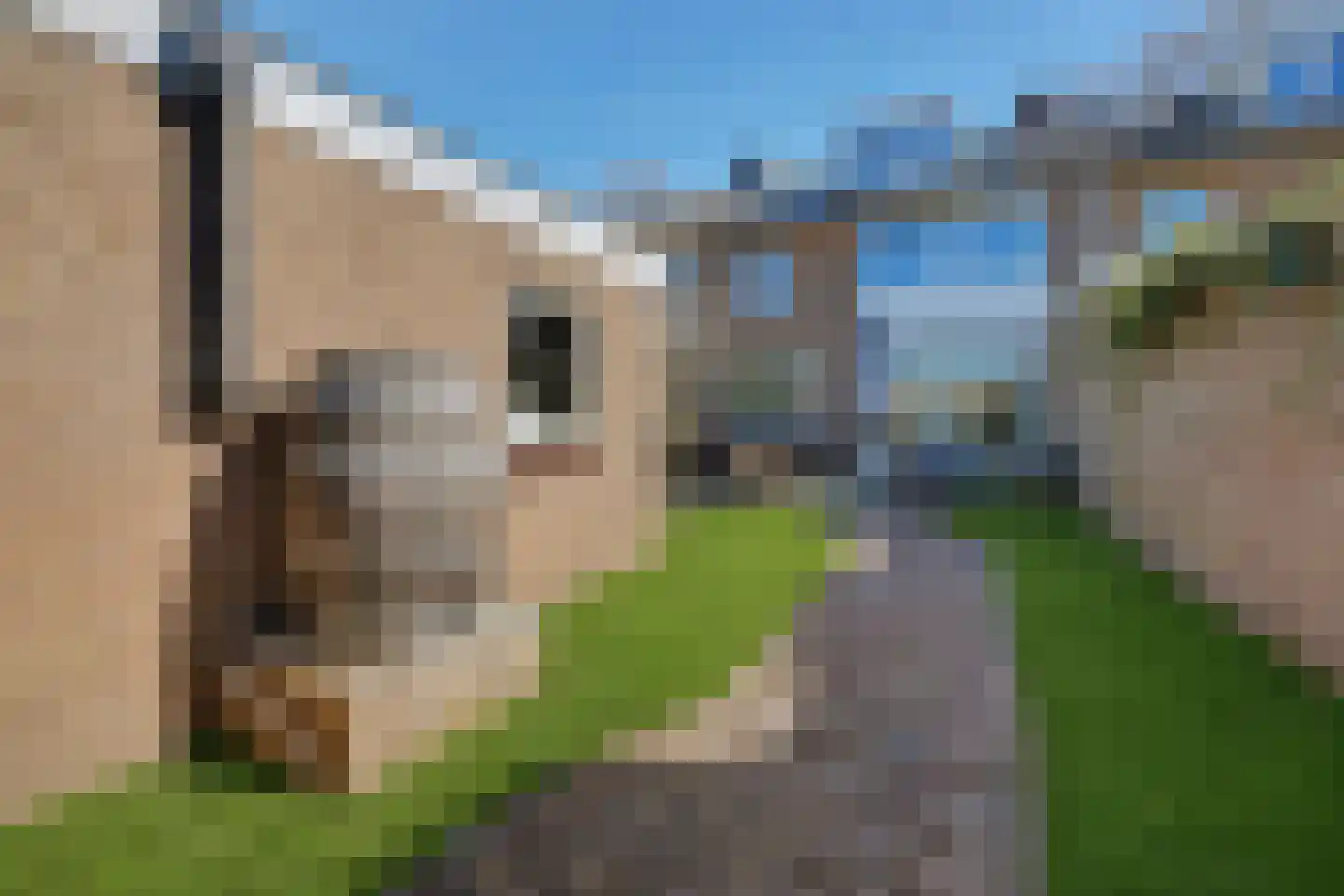 Jan Steenstraat 28 Vlijmen thumbnail 44