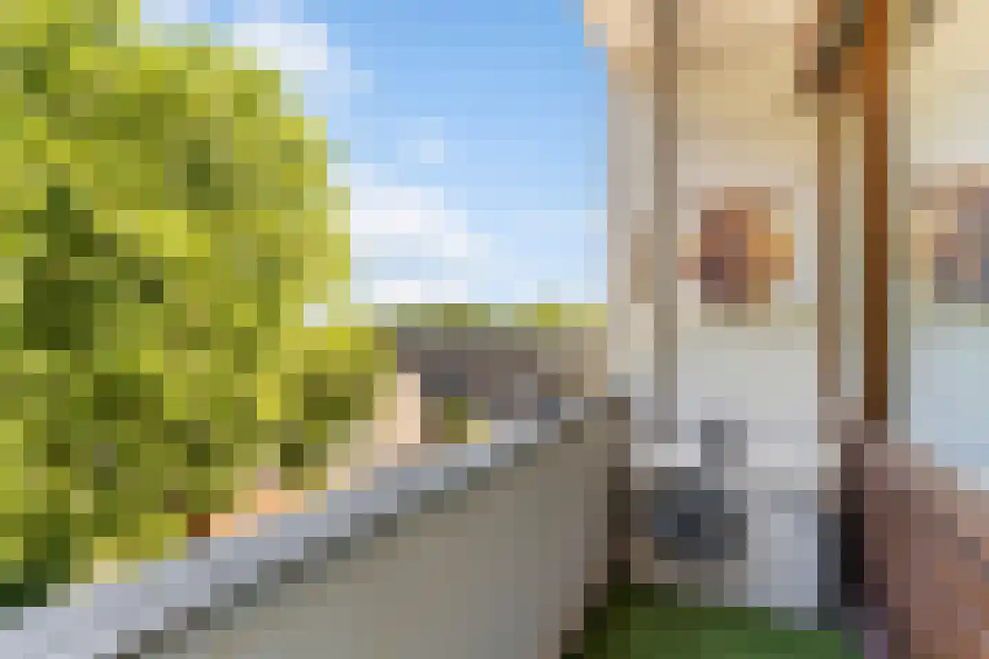 Jan Steenstraat 3 C Spijkenisse thumbnail 18