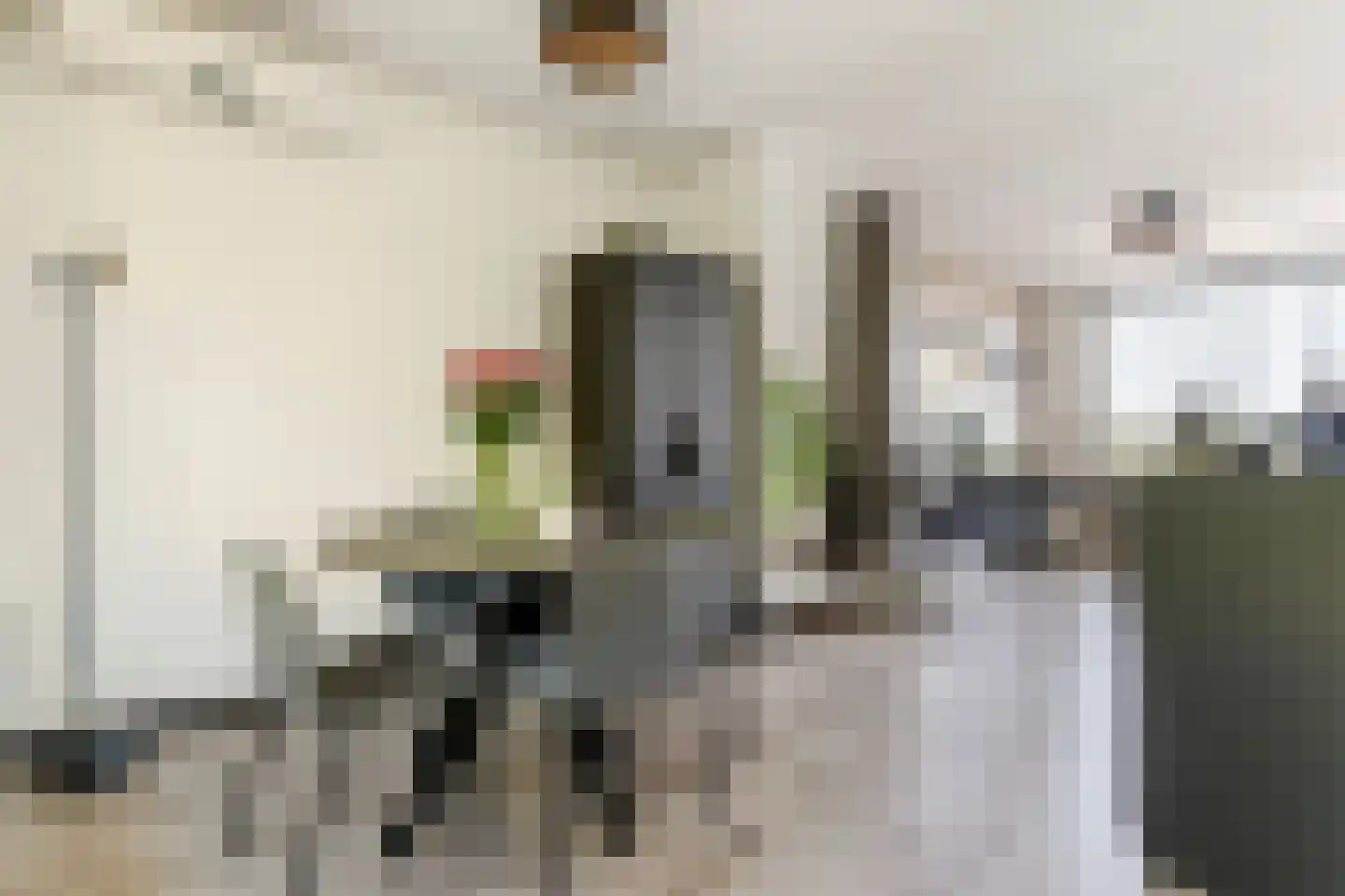 Jan Steenstraat 3 C Spijkenisse thumbnail 9