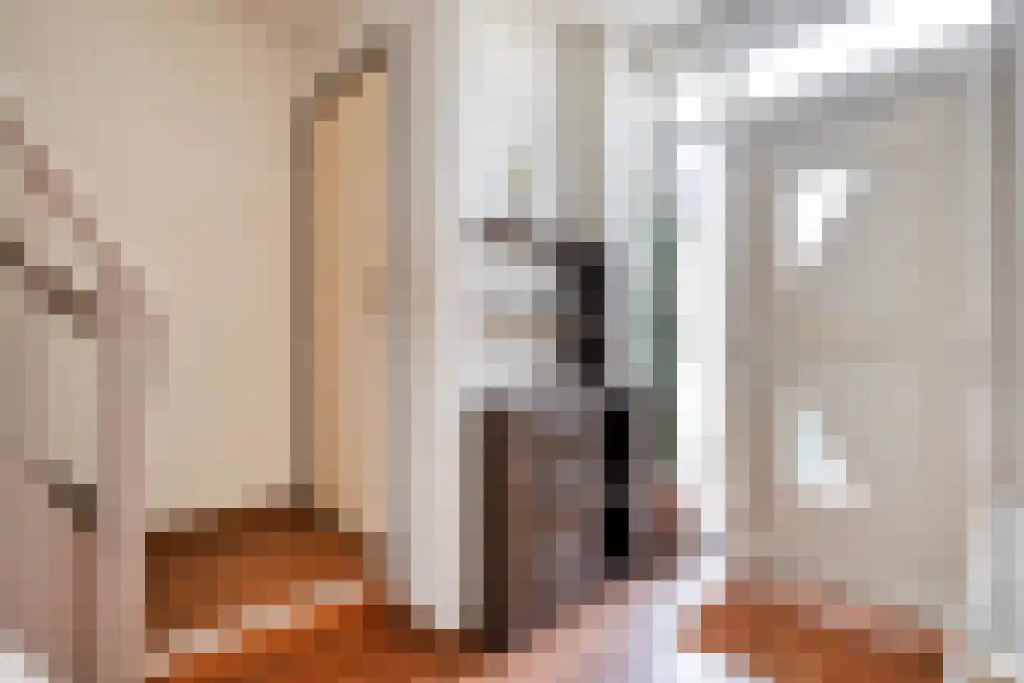 Jan Steenstraat 3 Hardenberg thumbnail 14
