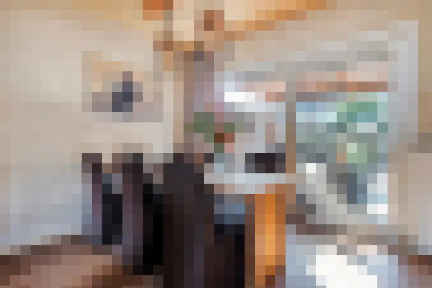 Jan Steenstraat 3 Hardenberg thumbnail 17