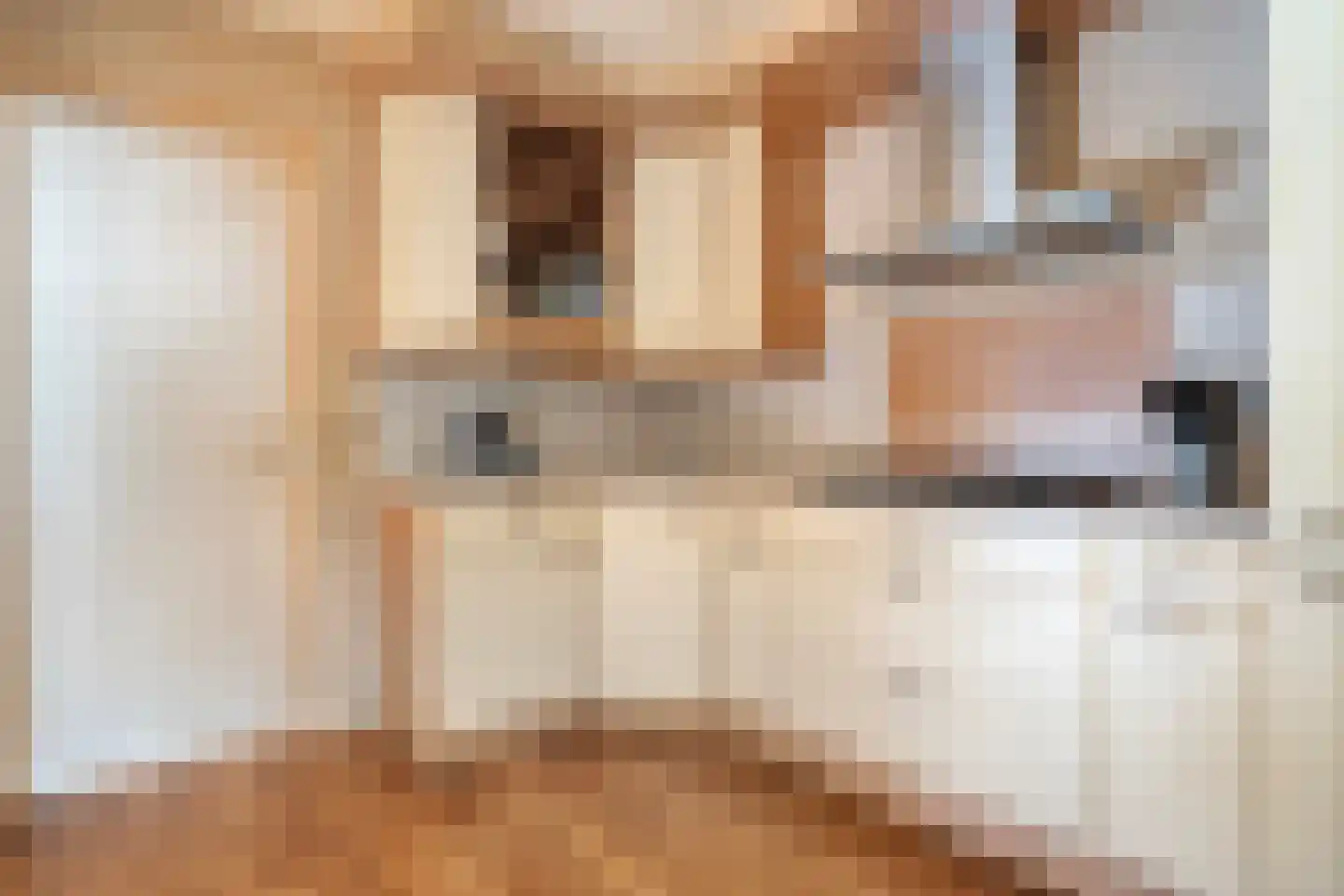 Jan Steenstraat 3 Hardenberg thumbnail 21