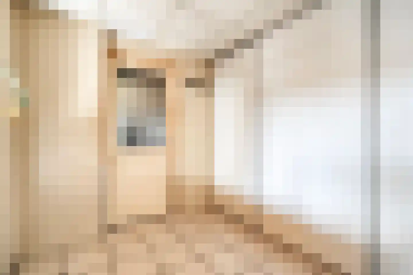 Jan Steenstraat 3 Hardenberg thumbnail 22