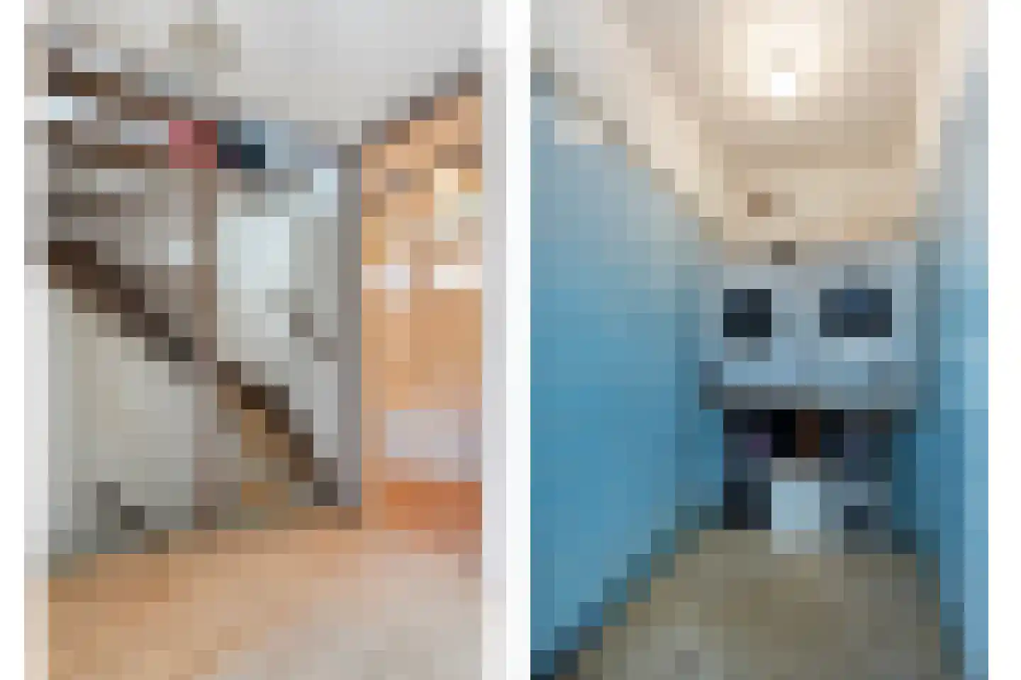 Jan Steenstraat 3 Hardenberg thumbnail 25