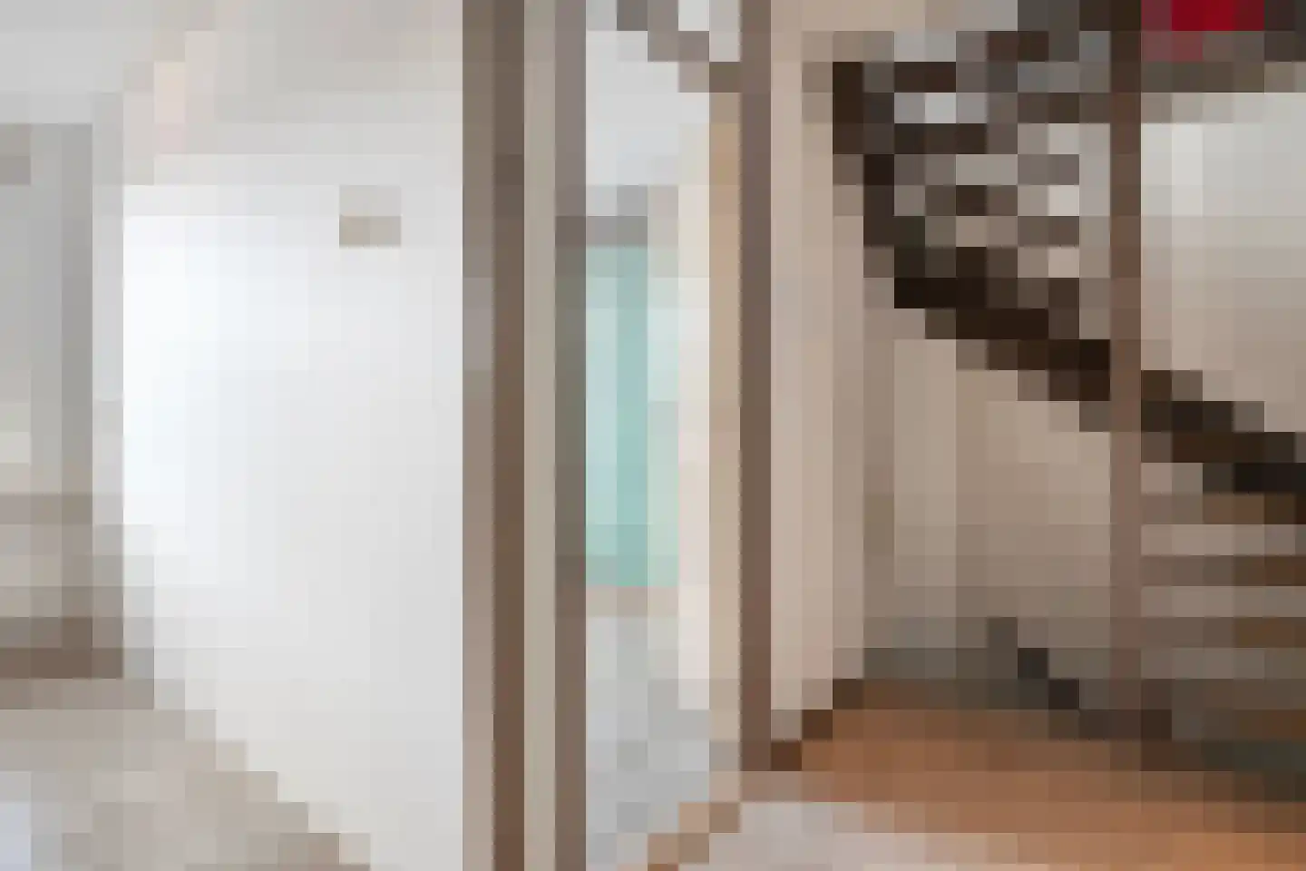 Jan Steenstraat 3 Hardenberg thumbnail 26