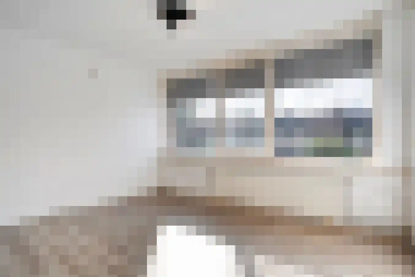 Jan Steenstraat 3 Hardenberg thumbnail 32