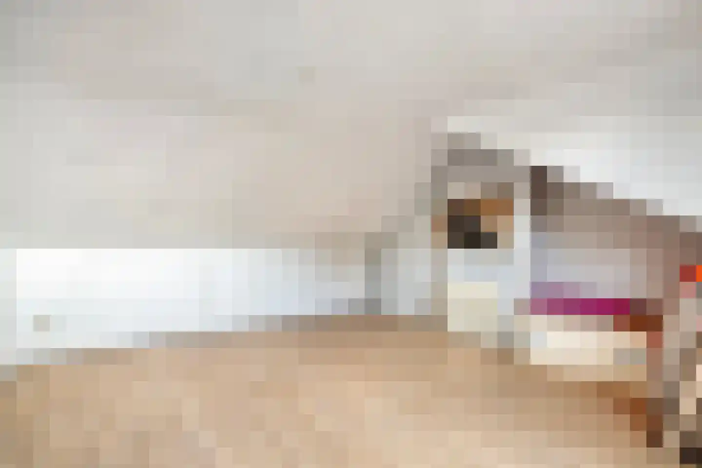 Jan Steenstraat 3 Hardenberg thumbnail 37