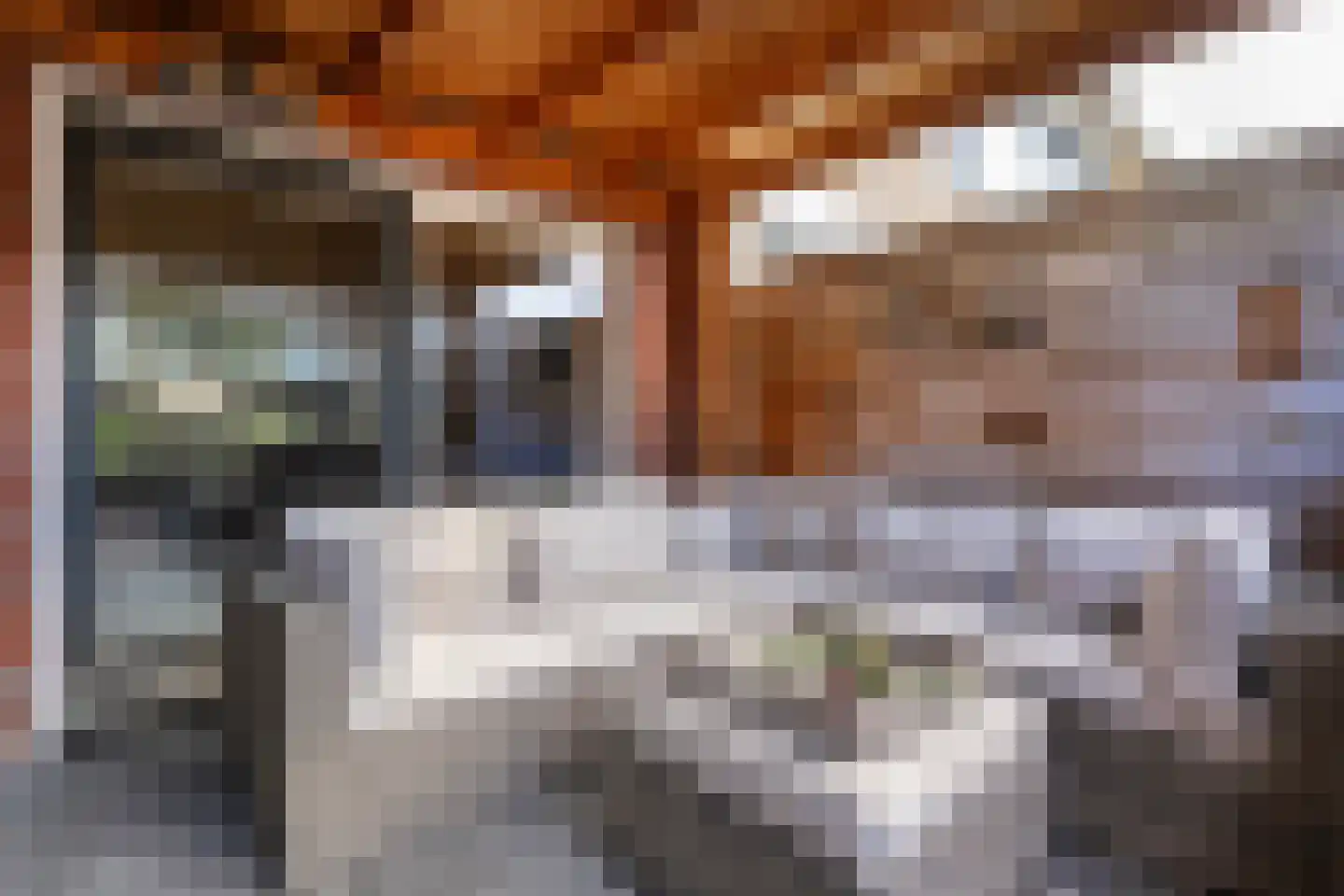 Jan Steenstraat 3 Hardenberg thumbnail 38