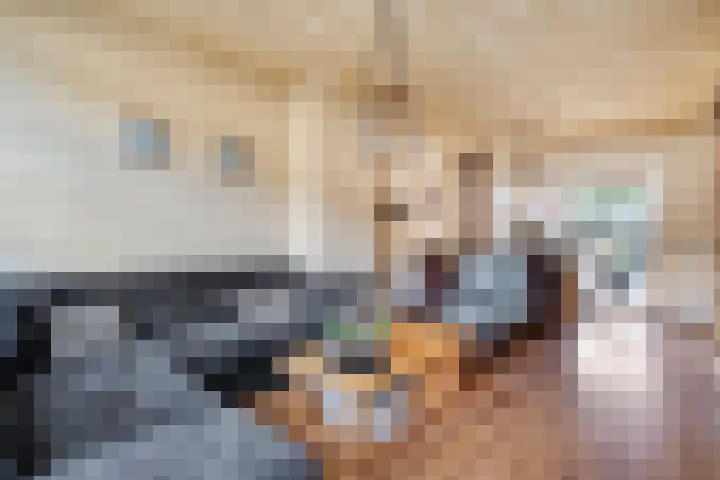 Jan Steenstraat 3 Hardenberg thumbnail 6