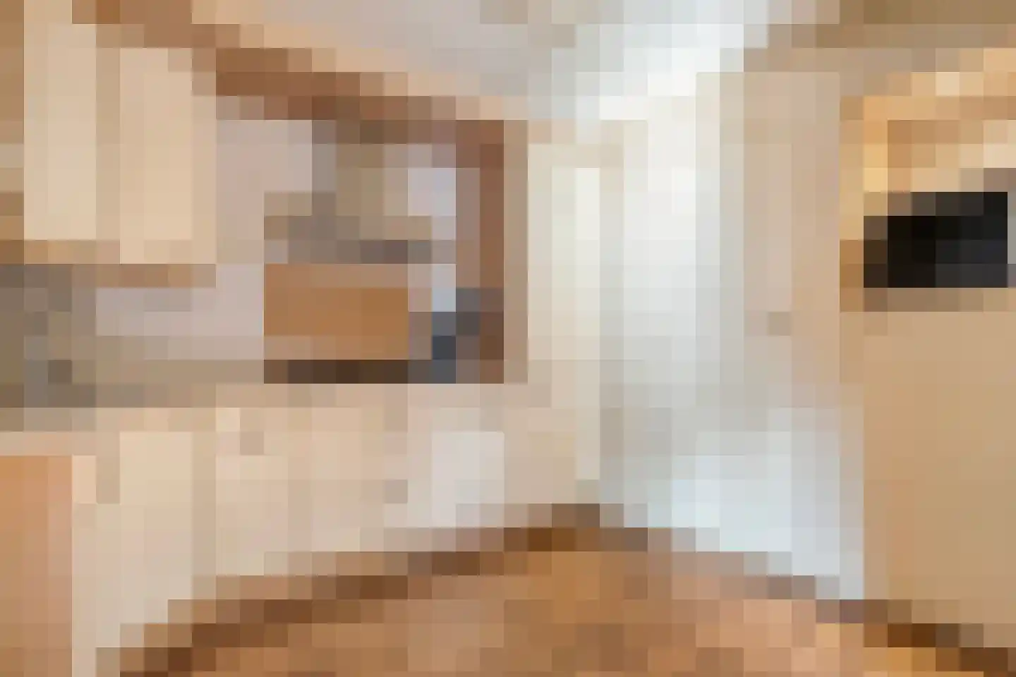 Jan Steenstraat 3 Hardenberg thumbnail 8