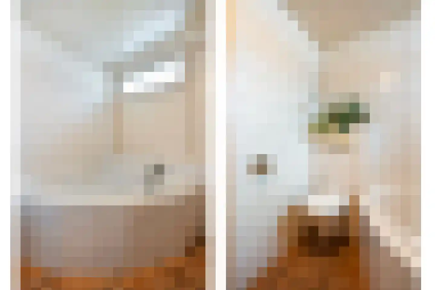 Jan Steenstraat 3 Hardenberg thumbnail 9