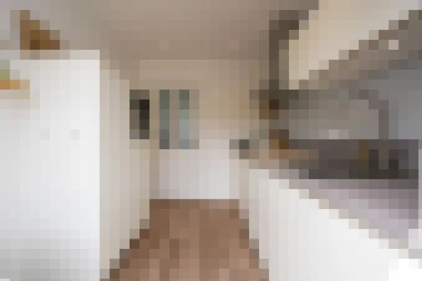 Jan Steenstraat 31 Geleen thumbnail 10