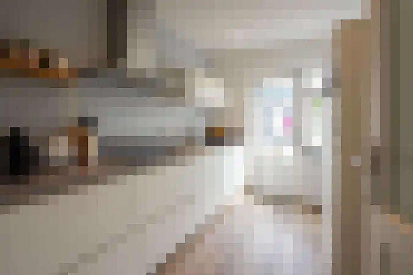 Jan Steenstraat 31 Geleen thumbnail 11