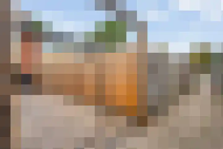 Jan Steenstraat 33 Hardenberg thumbnail 37