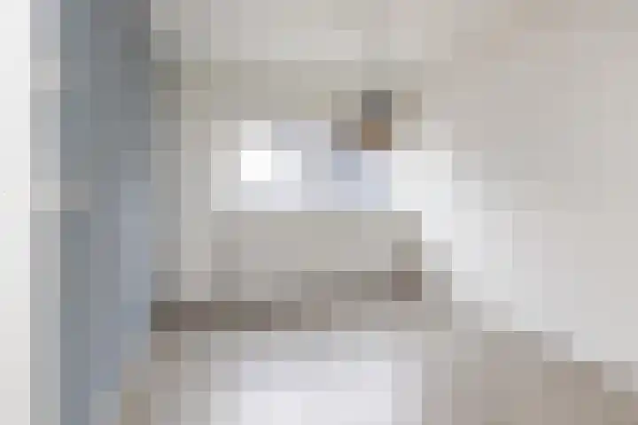 Jan Steenstraat 33 Meppel thumbnail 11