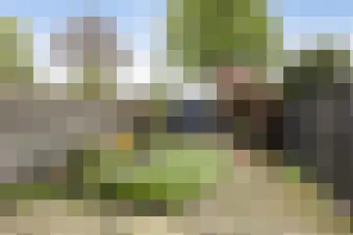 Jan Steenstraat 33 Meppel thumbnail 5