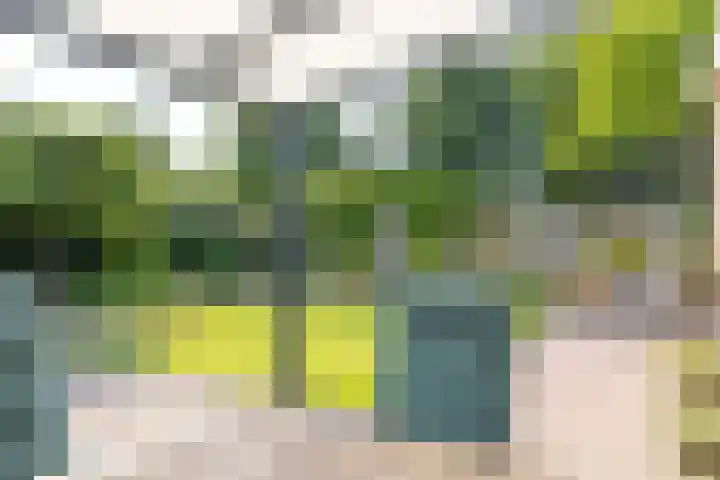 Jan Steenstraat 35 Groenlo thumbnail 38