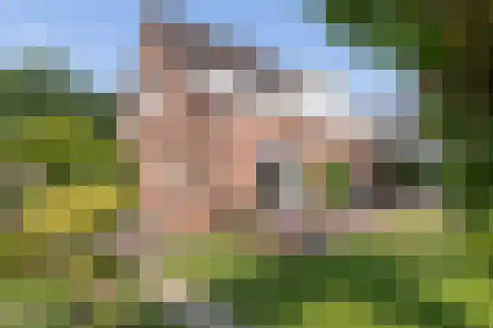 Jan Steenstraat 35 Groenlo thumbnail 45