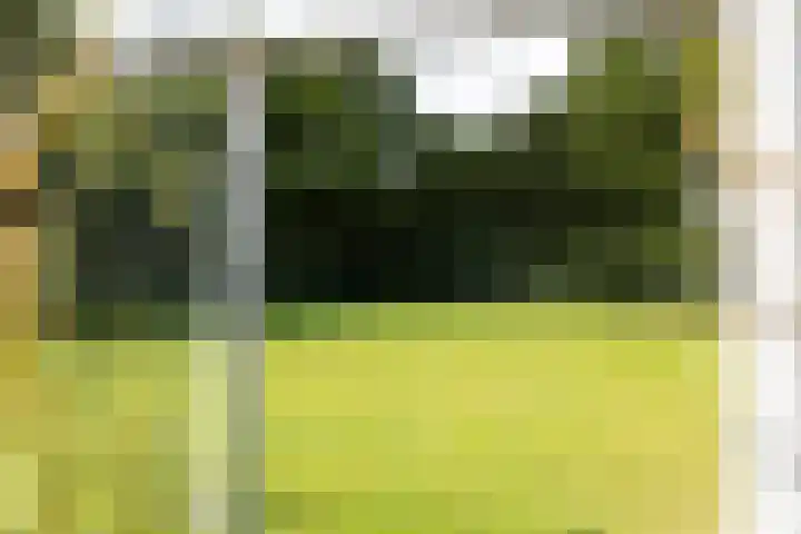 Jan Steenstraat 35 Groenlo thumbnail 53