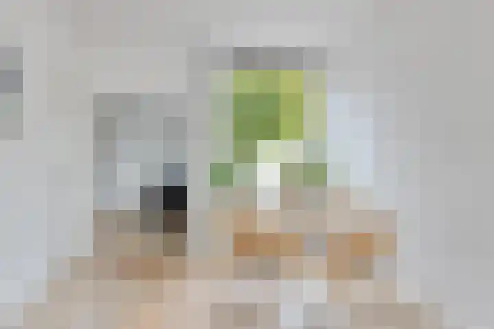 Jan Steenstraat 36 Tilburg thumbnail 6