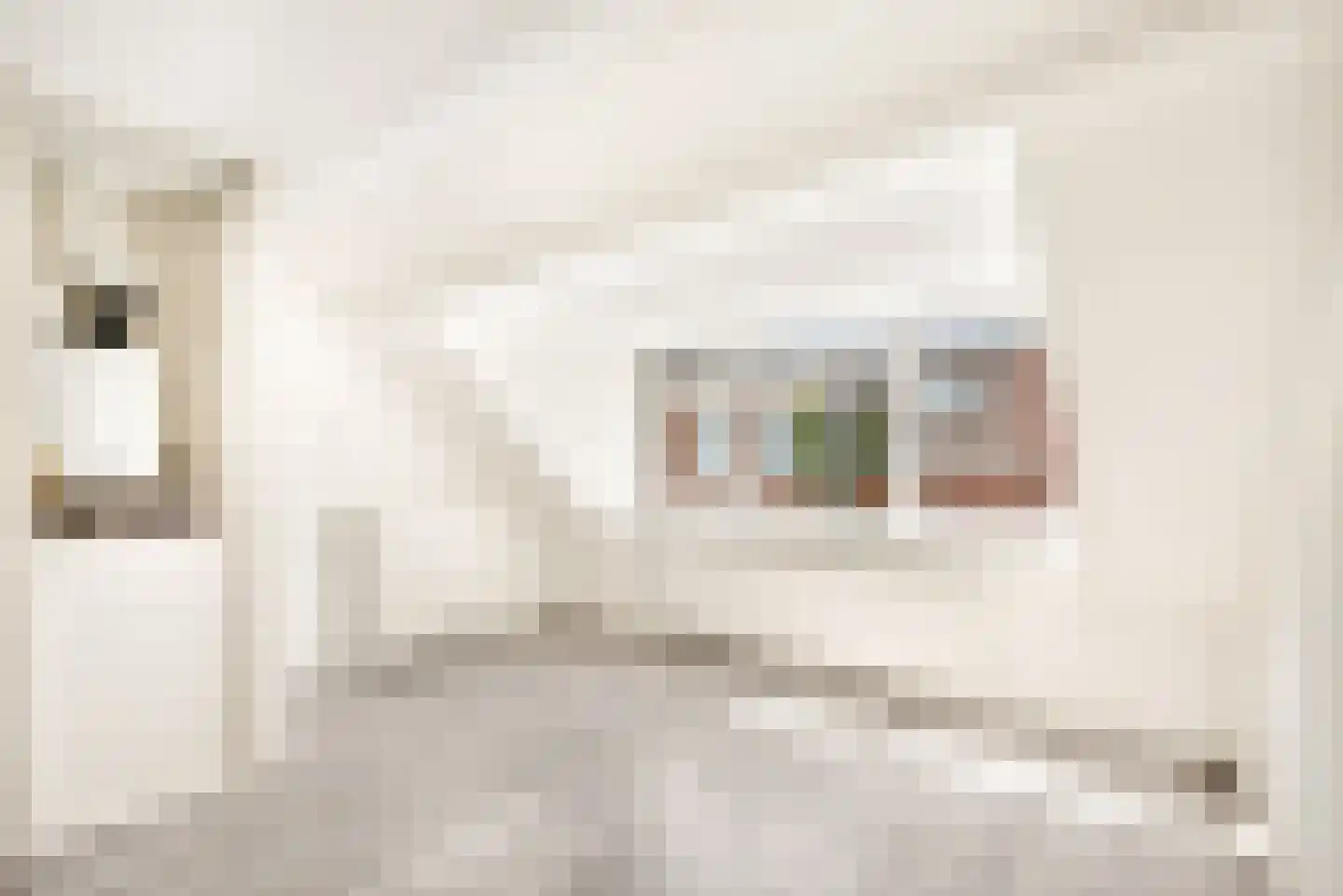 Jan Steenstraat 37 B Haarlem thumbnail 11